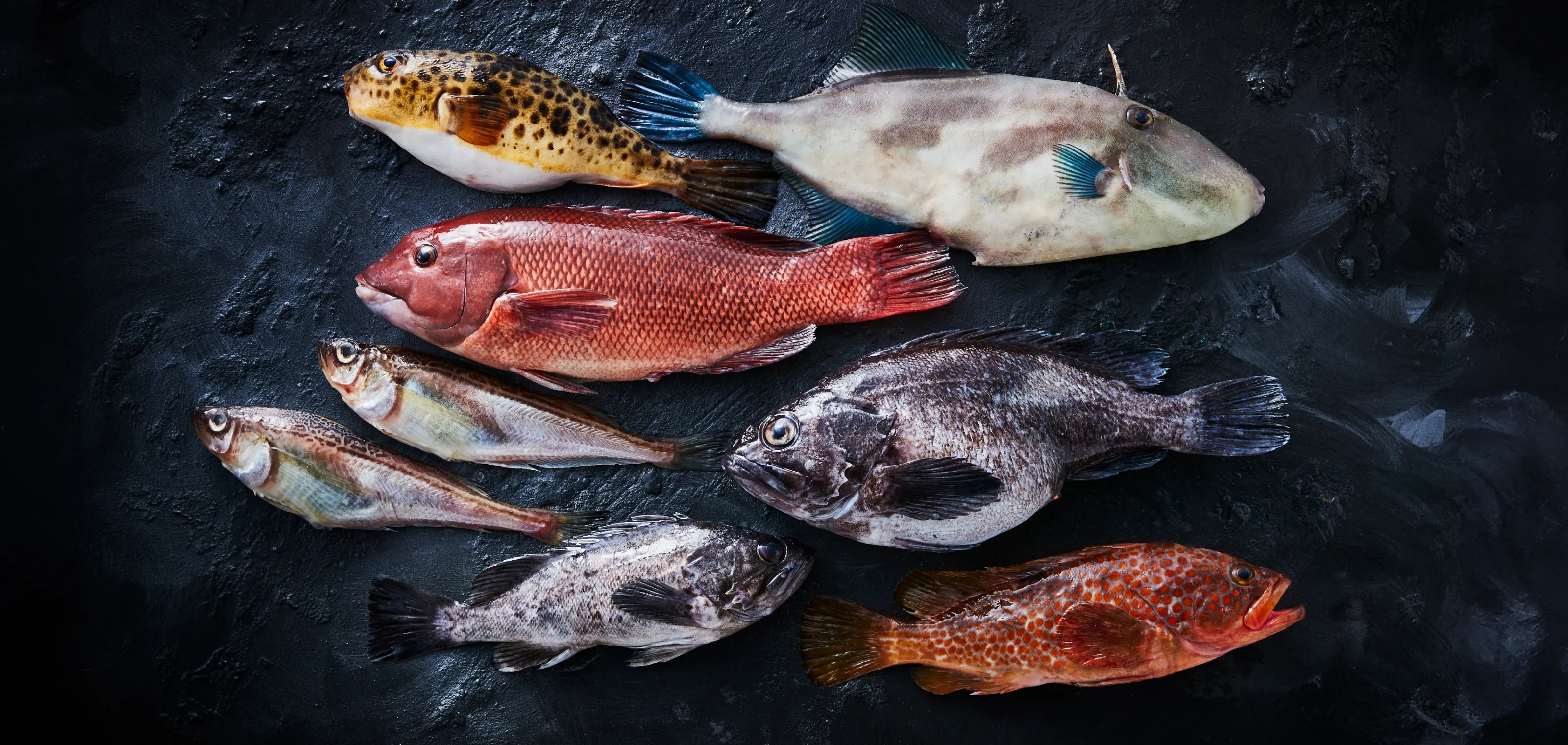 自然の厳しさが育んだ濃密な旨味を宿した食材を贅沢に使用