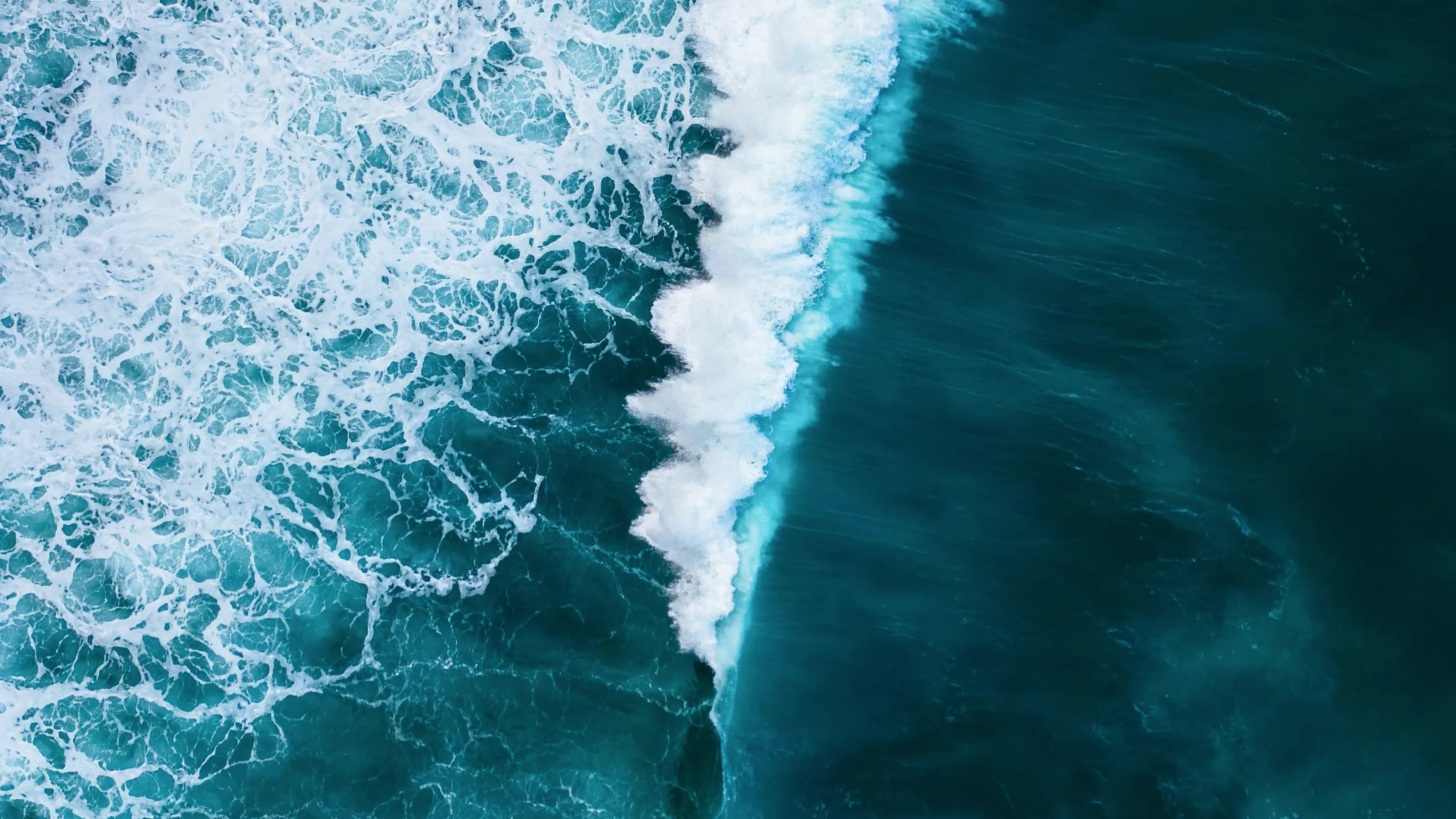 海