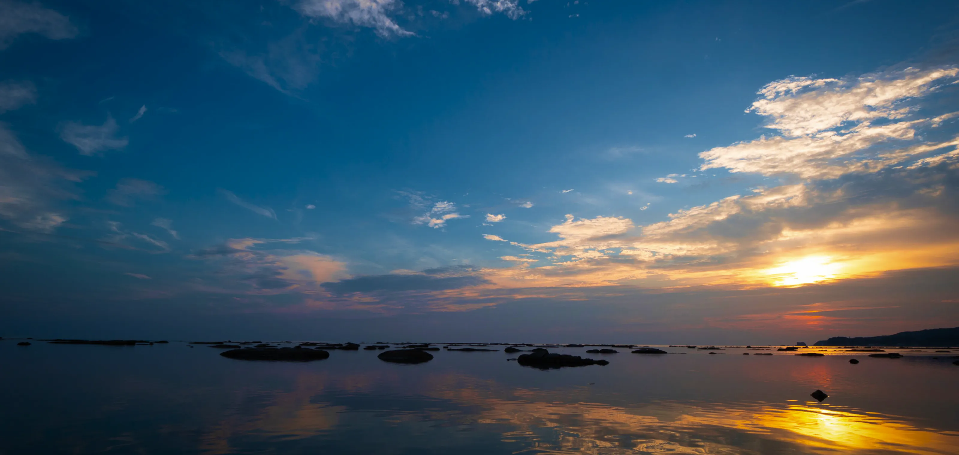 荒々しくも優しい海に 生命が宿る